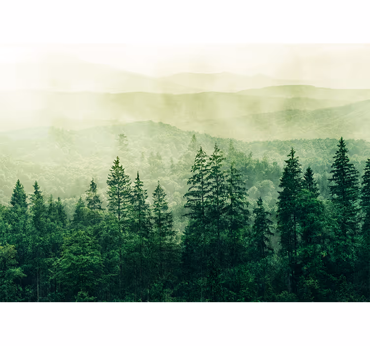 Blind kitchen green forest hill treetops - TenStickers