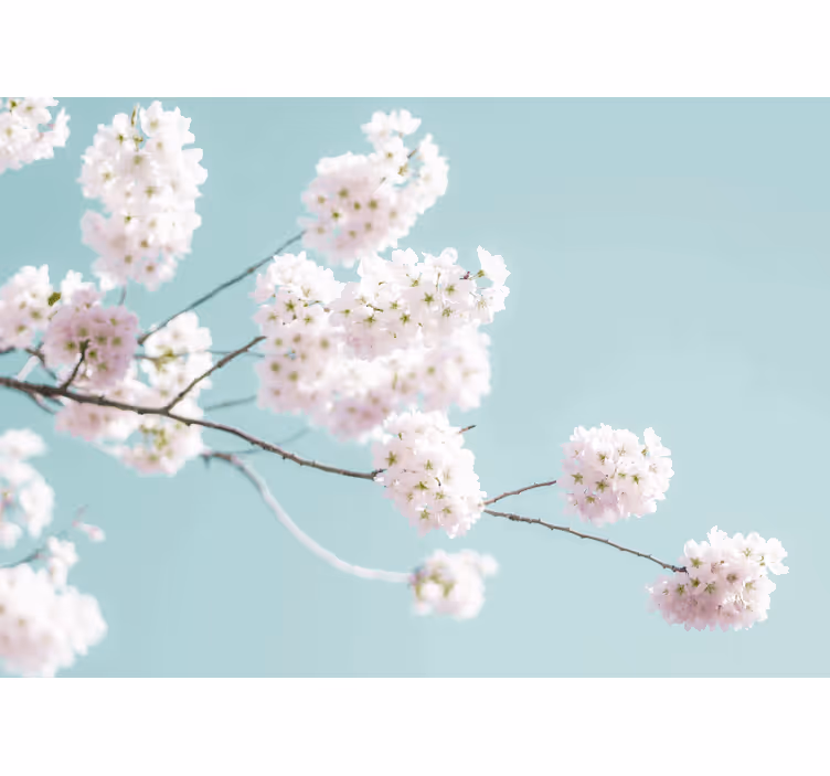 Blind kitchen elegant white floral design - TenStickers