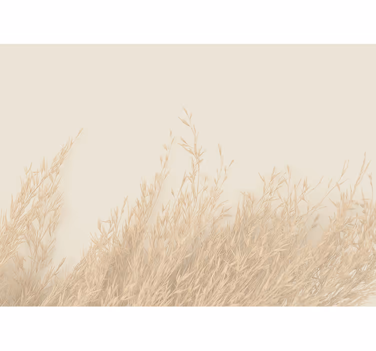 Blind kitchen plants swaying in the breeze - TenStickers