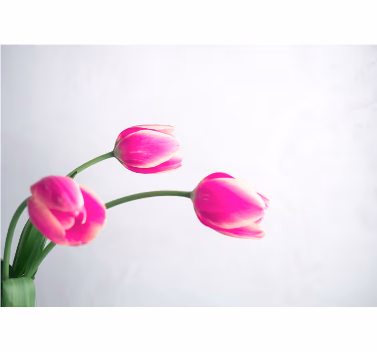 Blind kitchen three white tulips on white background - TenStickers