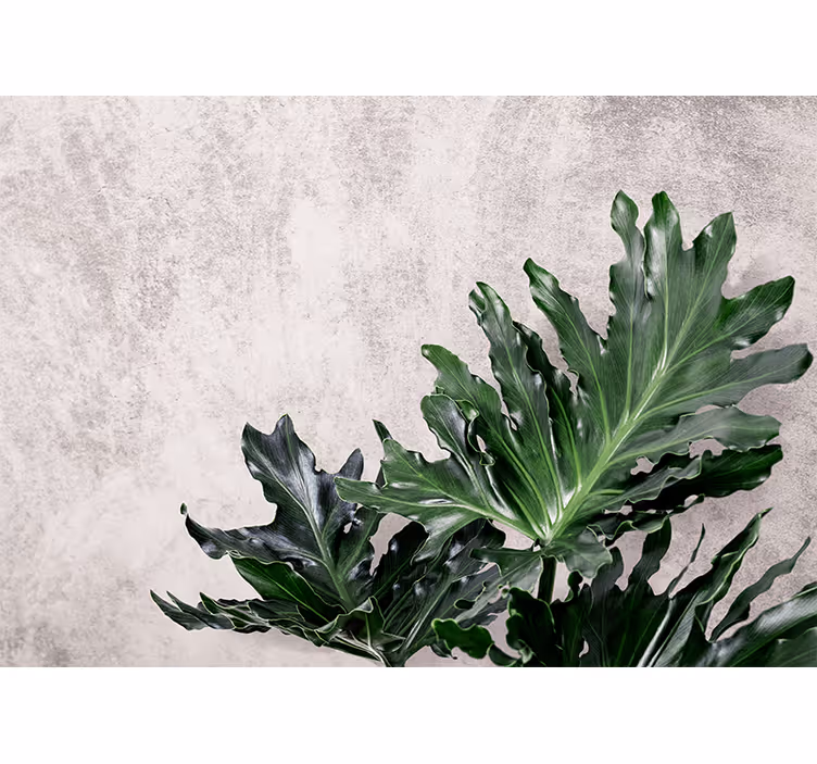 Blind kitchen green leaves on concrete surface - TenStickers