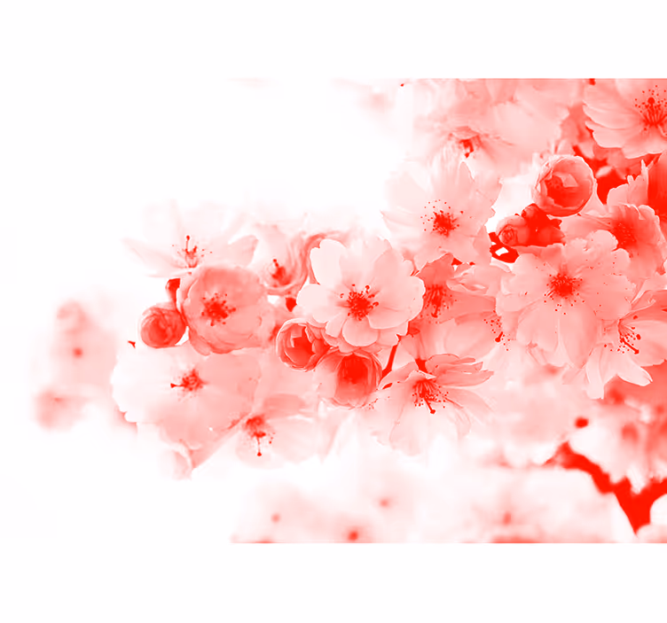 White window blind with red bush pattern - TenStickers
