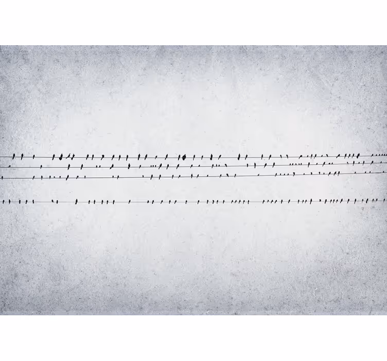 White window blind birdsong on a wire - TenStickers
