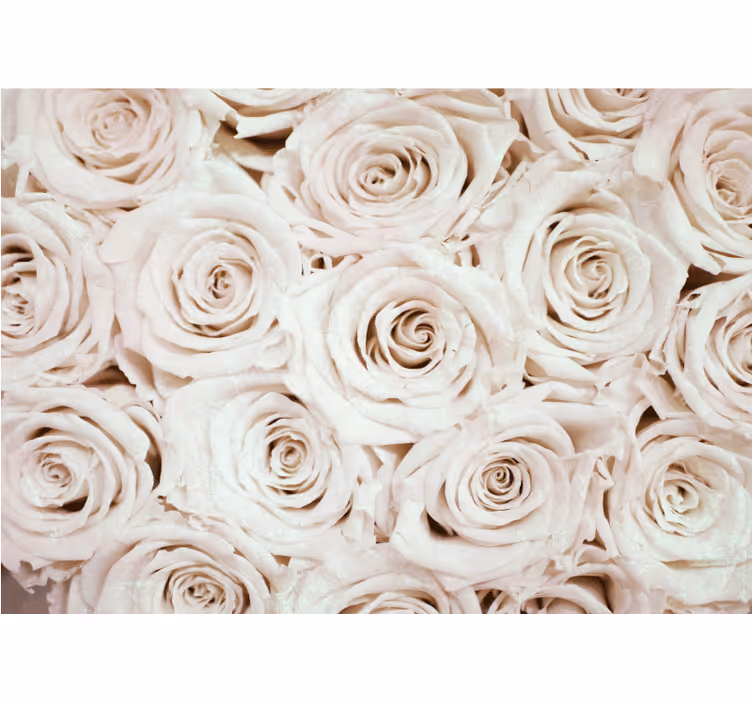 White window blind with elegant rose flower design - TenStickers