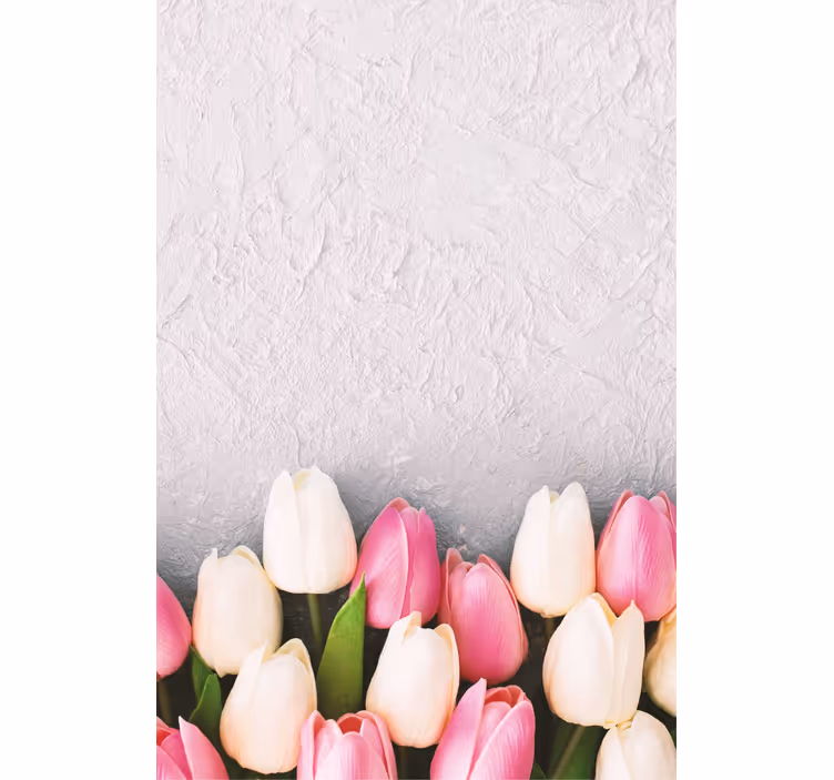 White and pink tulips Flower blind - TenStickers