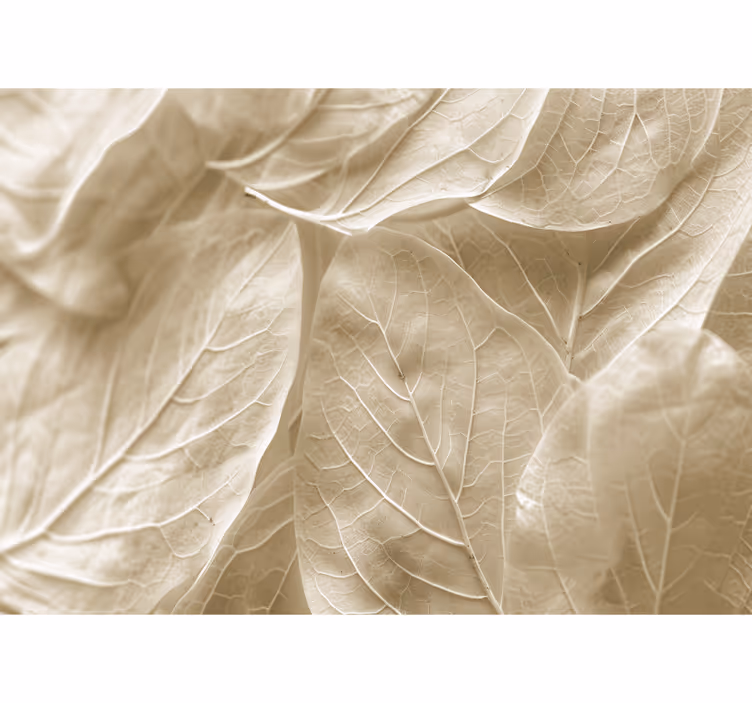 Big beige leaves  wall mural master bedroom - TenStickers
