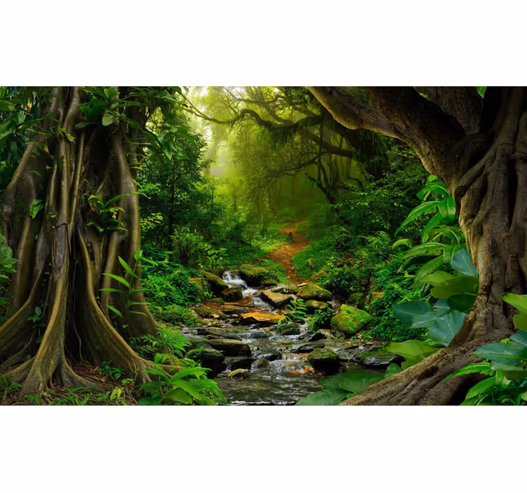 Forest wall mural tropical forest oasis - TenStickers