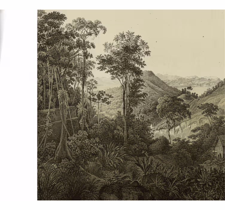 Forest wall mural hilly forest print - TenStickers