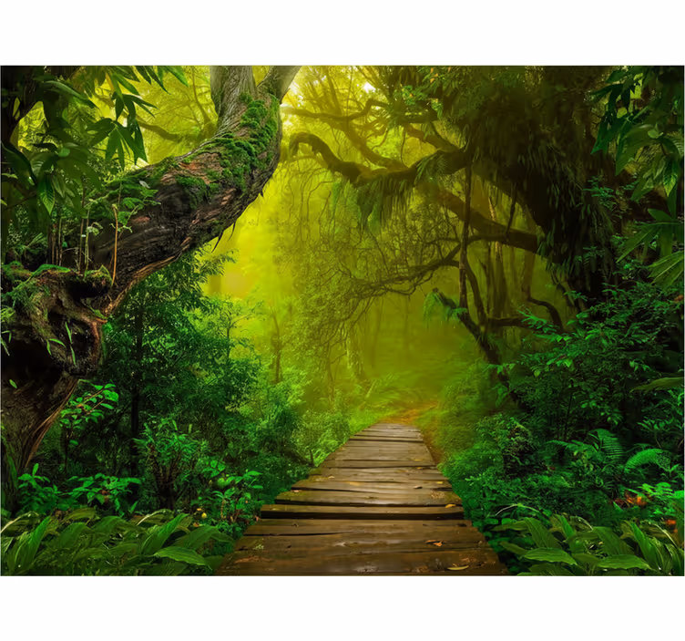 Mystic forest path forest wall mural - TenStickers