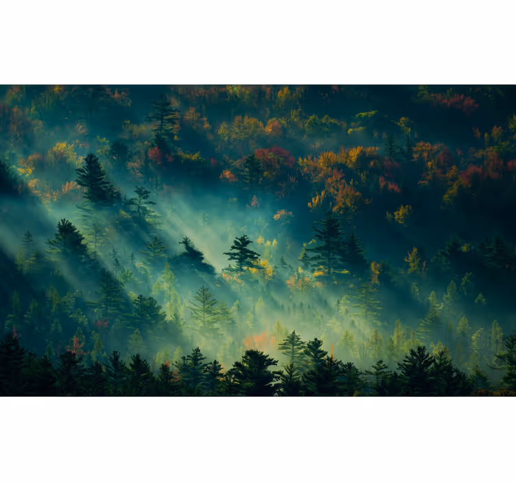 Forest wall mural the melancholy forest - TenStickers