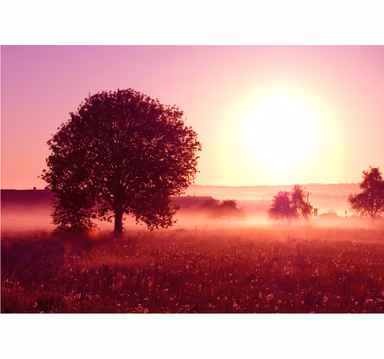 Silent evening nature wall mural - TenStickers