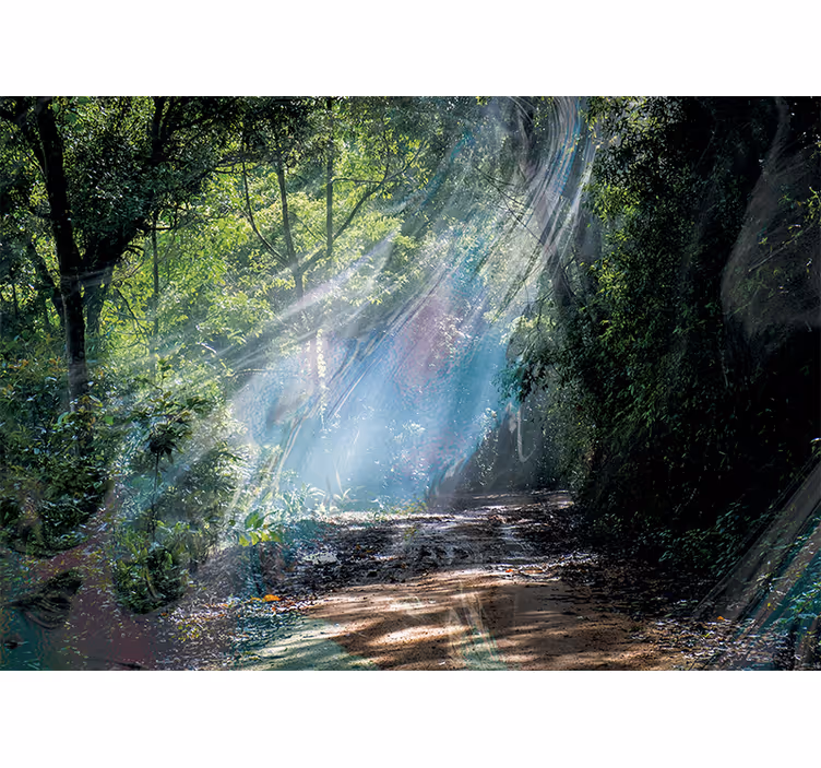 3D depth effect forest nature wall mural - TenStickers