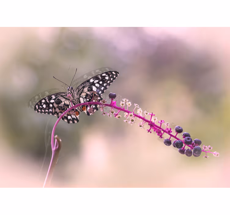 Purple butterfly wall mural - TenStickers