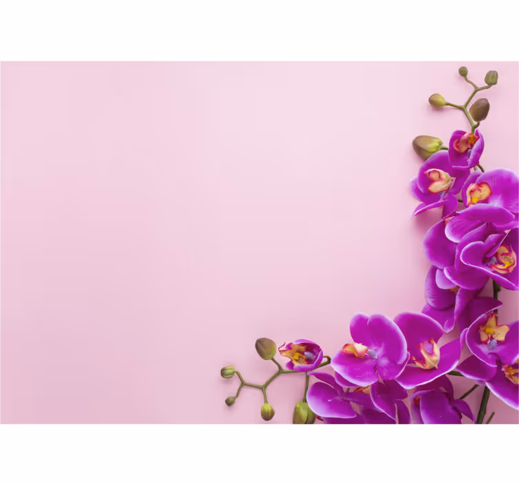 Pink background with Orchid wall mural - TenStickers