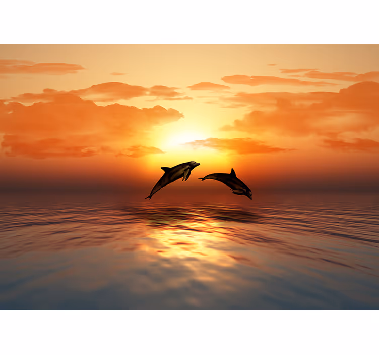 Dolphins Jumping Sunset animals wall mural - TenStickers