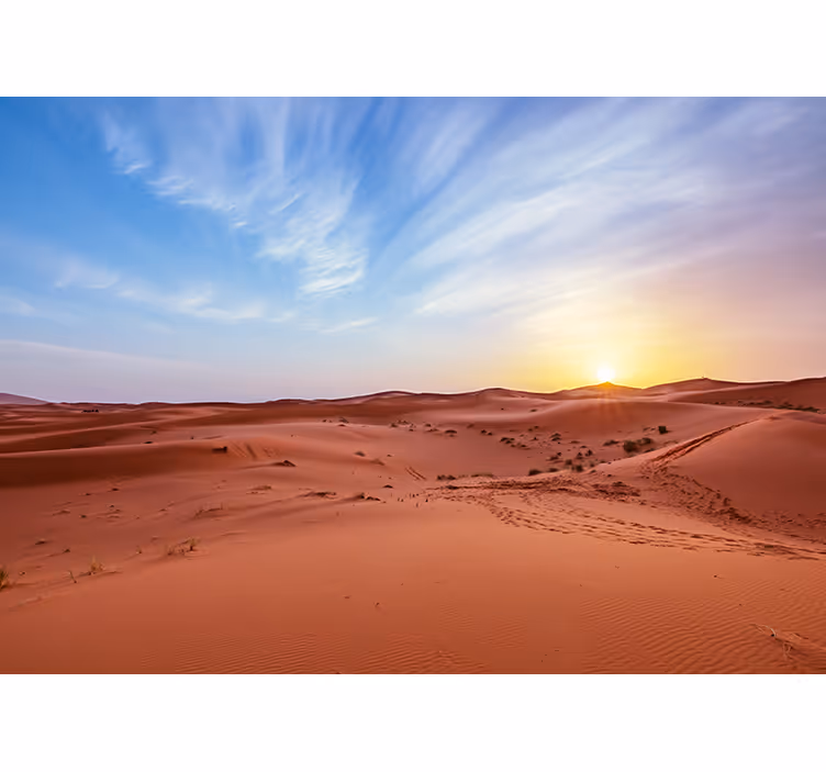 Desert in front of a sunrise Wall Mural - TenStickers