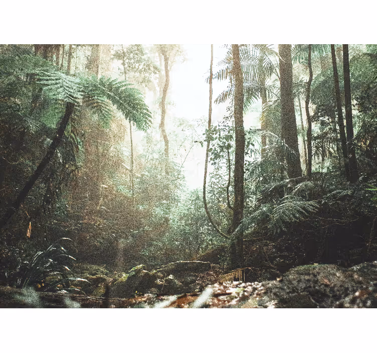 Forest wall mural lush jungle tranquility - TenStickers