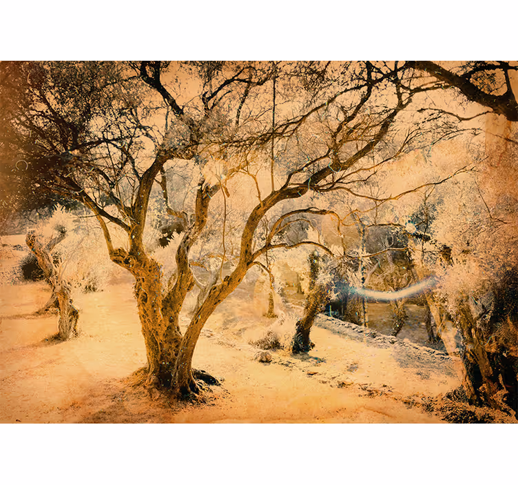 Forest wall mural golden olive trees - TenStickers
