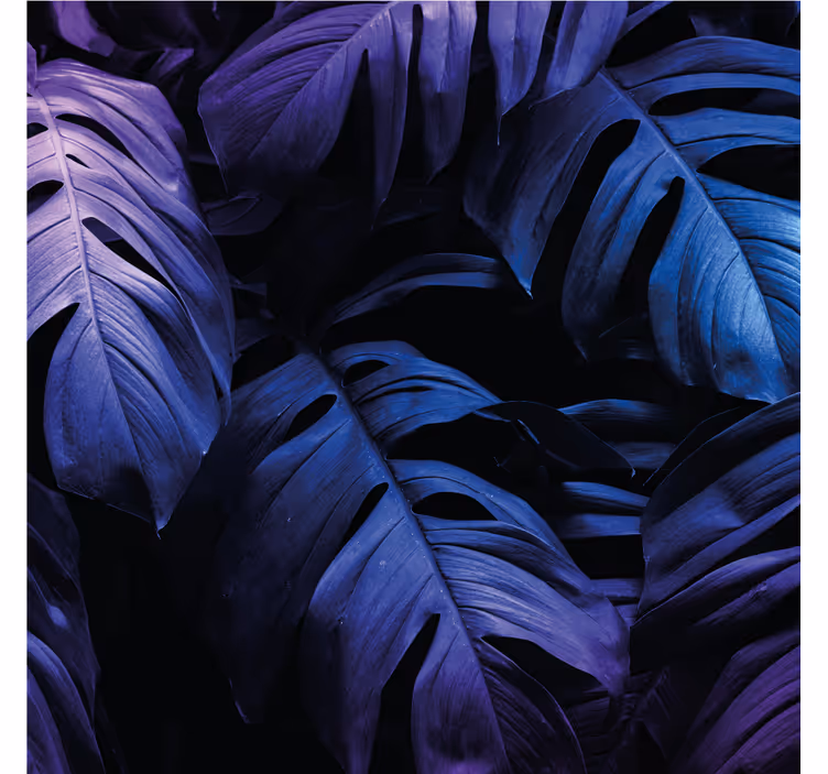 Texture coasters with lush leaf patterns - TenStickers