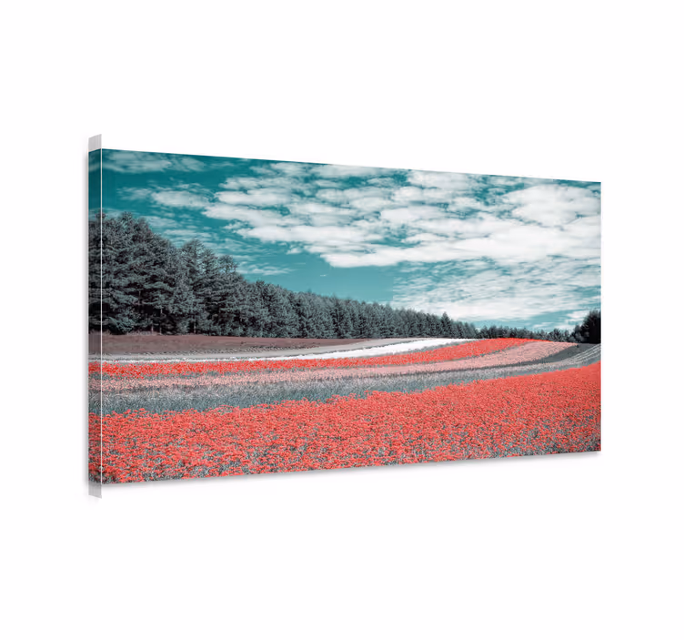 Different kind of flower field flower canvas - TenStickers