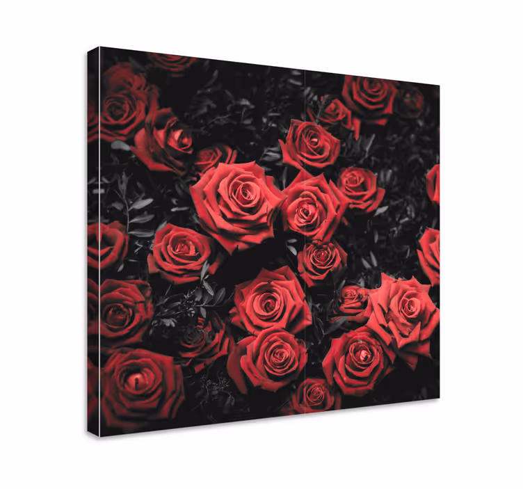 Black and white with red roses flower canvas - TenStickers