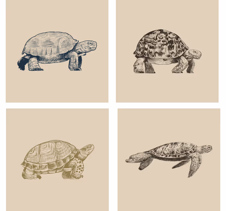 Retro wallpaper turtles on a beige background - TenStickers