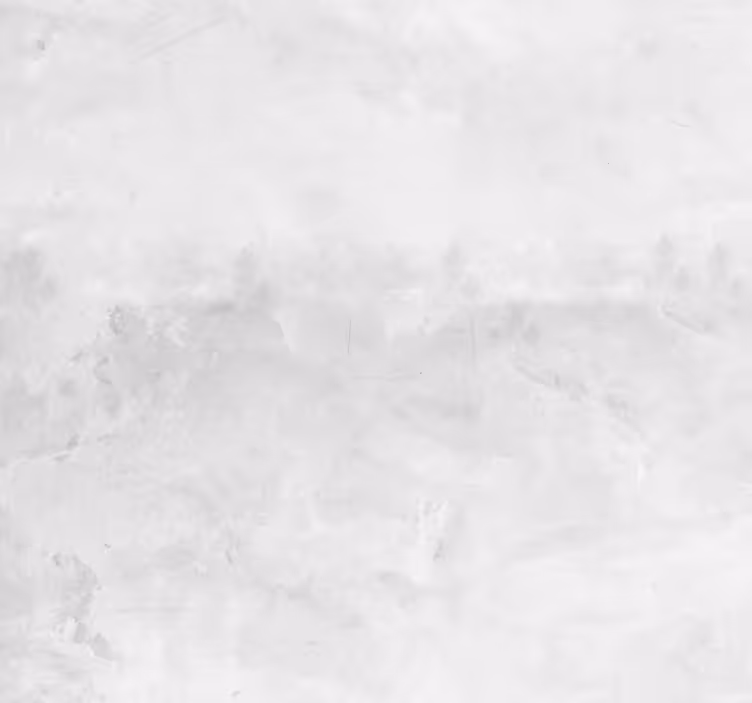 Old white wall brick wallpaper - TenStickers
