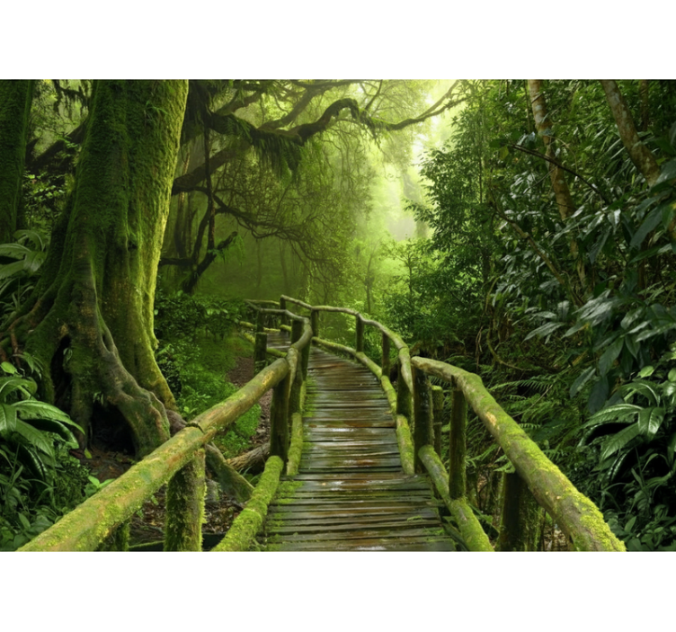 Tree blind lush mossy walkway - TenStickers