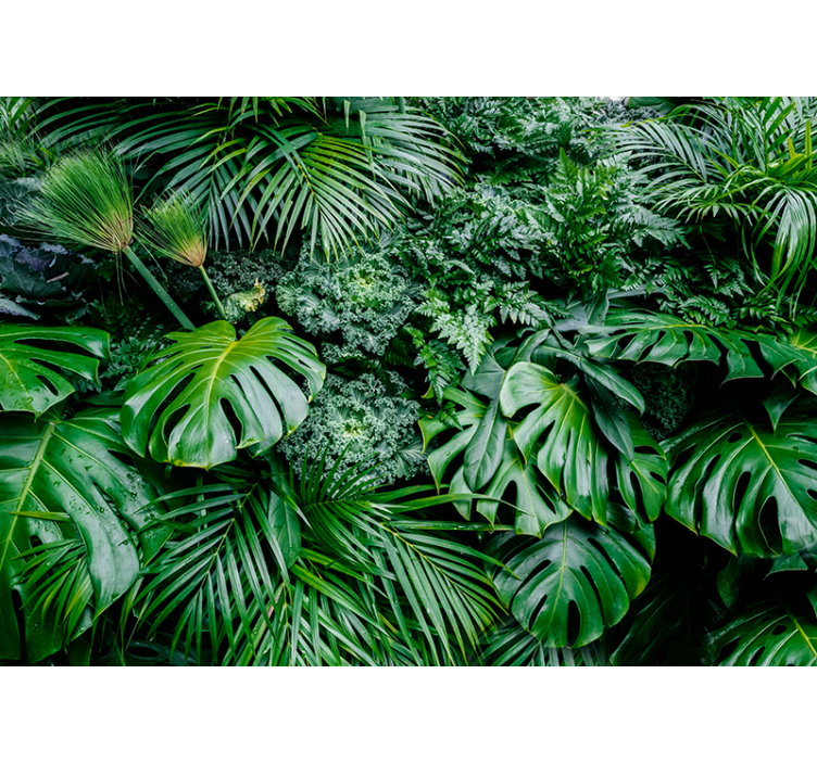 Blind green rainforest delight - TenStickers