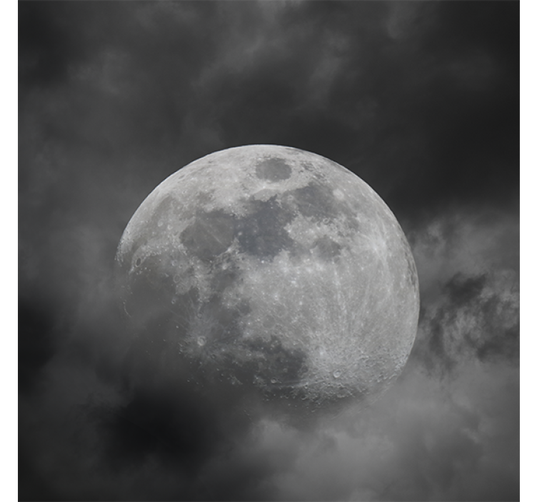 Living room blind in gray planet design - TenStickers