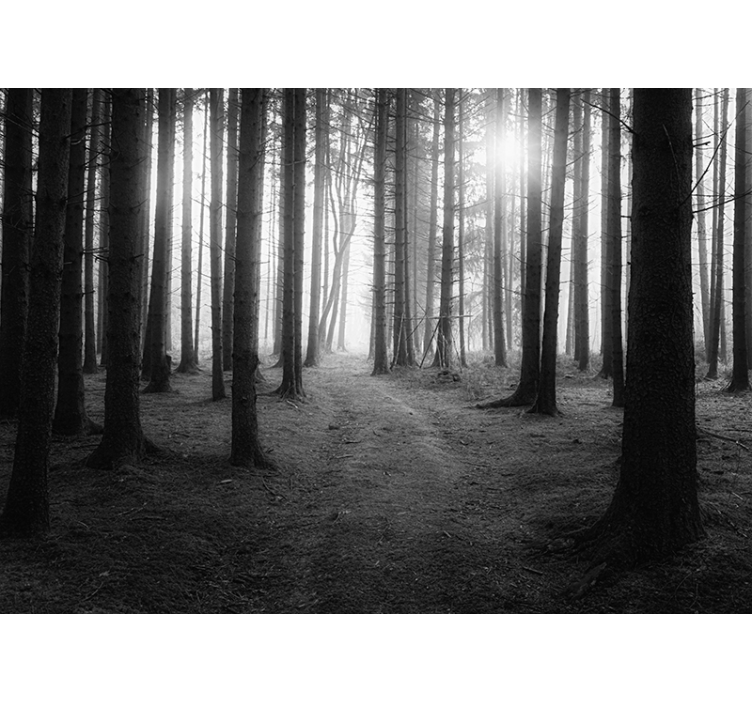 Blind grey enchanted woods - TenStickers