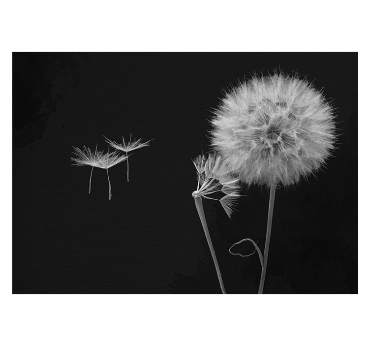Blind grey dandelion head wall mural - TenStickers