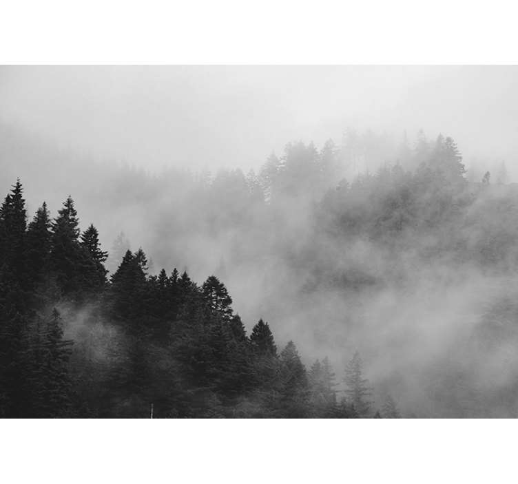 Blind grey misty forest in black and white - TenStickers