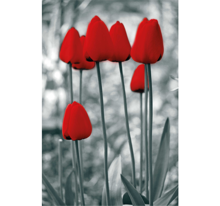 Red tulips colourful Flower blind - TenStickers