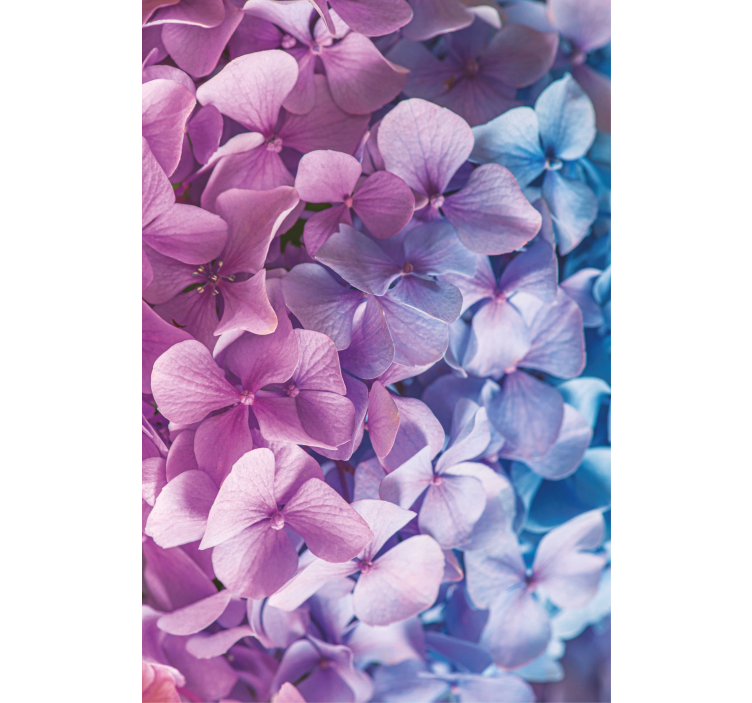 Hydrangea Petal Cluster blind flowers and plants - TenStickers