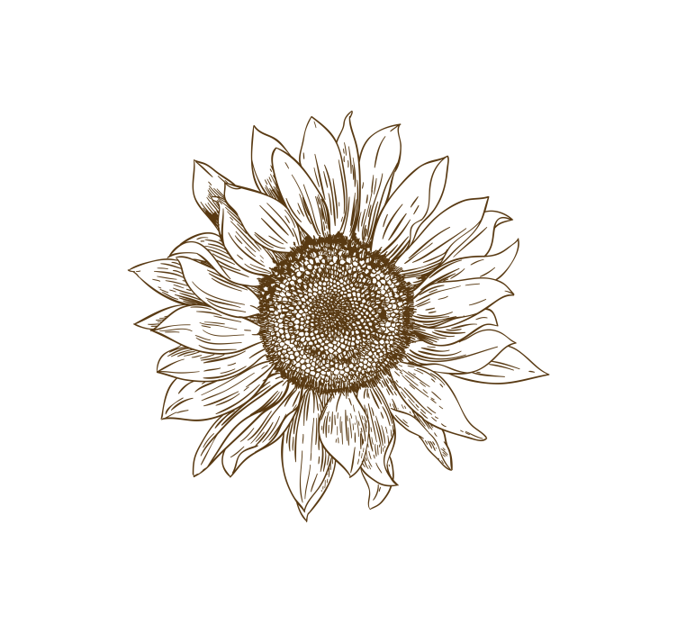 Illustration big sunflower Flower blind - TenStickers