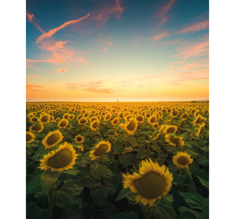 Sunflower Field Sunrise blind flowers and plants - TenStickers