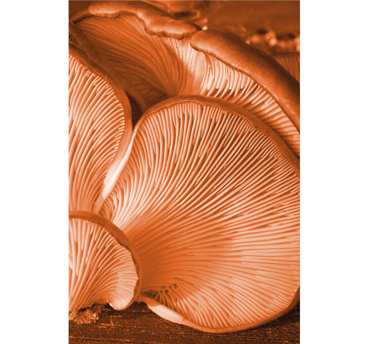 Mushroom Gills Close-Up blind fruit and vegetables - TenStickers