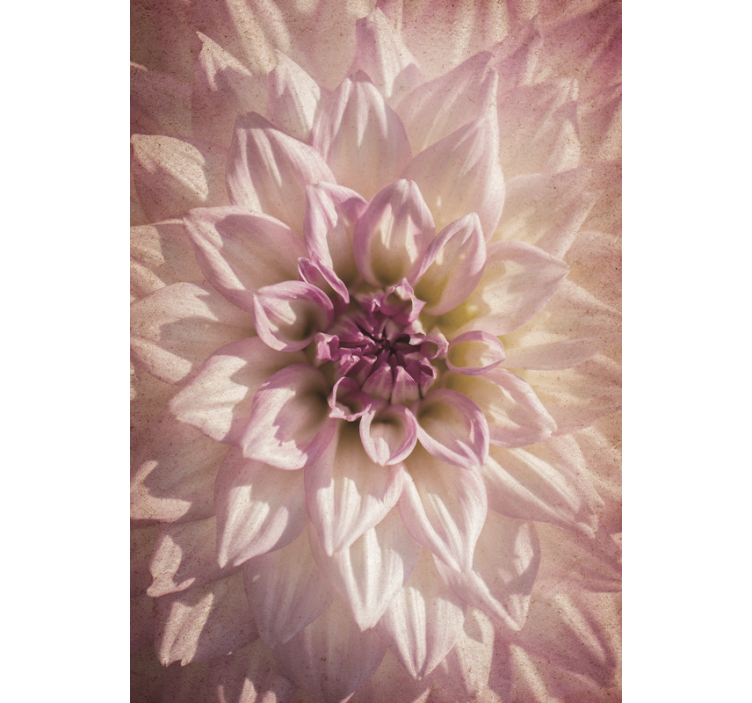 Delicate bloom blind flowers and plants - TenStickers