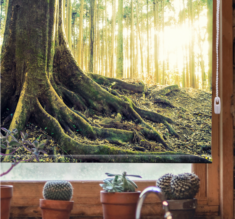 Majestic Forest Roots tree blind - TenStickers