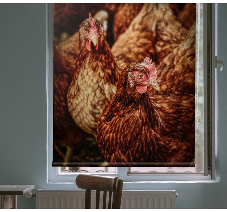Rustic Farm Chickens animals blind - TenStickers