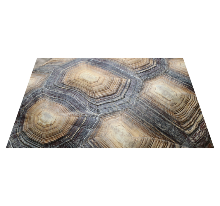 Turtle shell turtle placemats - TenStickers