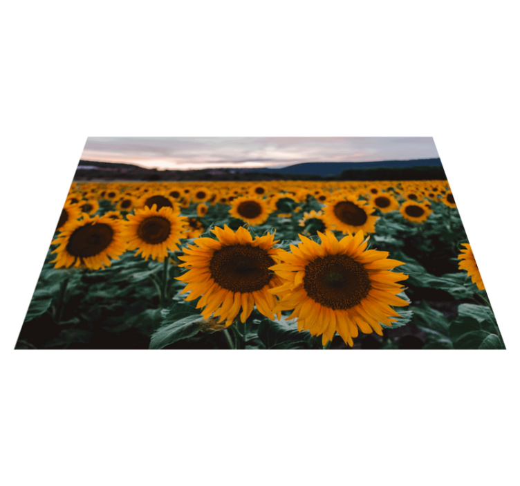 Sunflower field elegant placemats - TenStickers