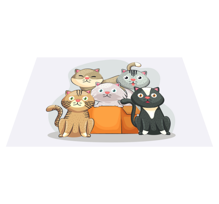 Cats in box children placemats - TenStickers