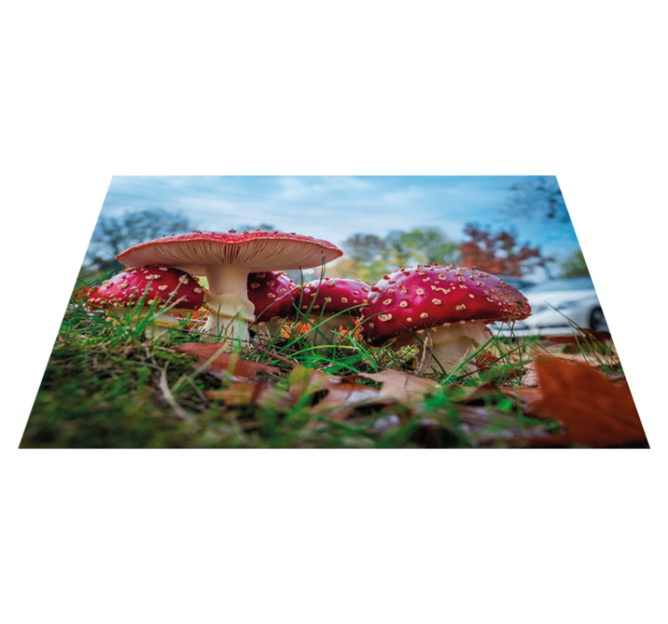 Modern placemats mushroom culinary scene - TenStickers