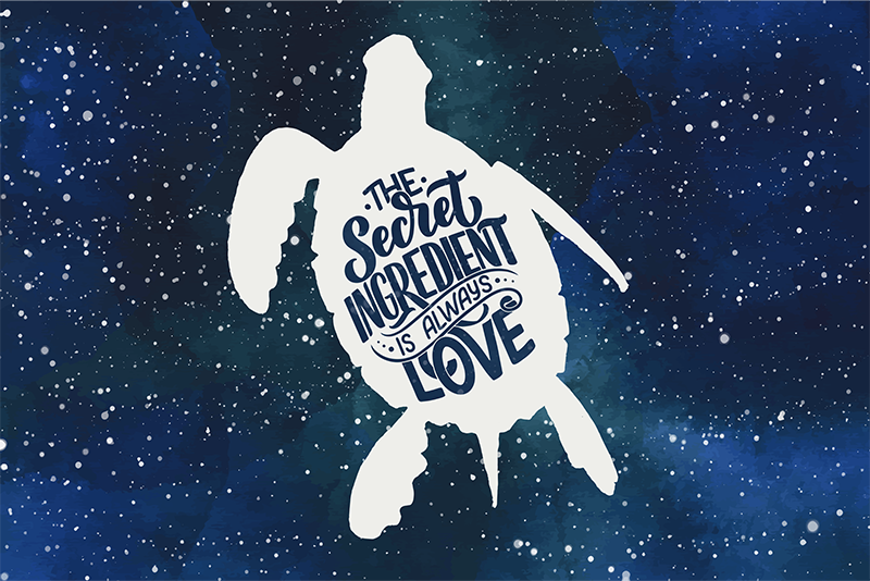 Turtle with galaxy pattern turtle placemats - TenStickers