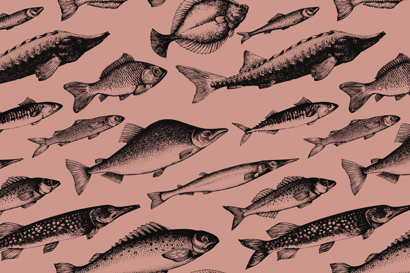 Hand drawn fish vinyl placemats - TenStickers