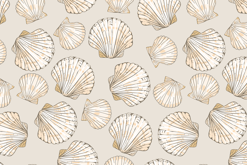 Big and Small Seashells seashell placemats - TenStickers