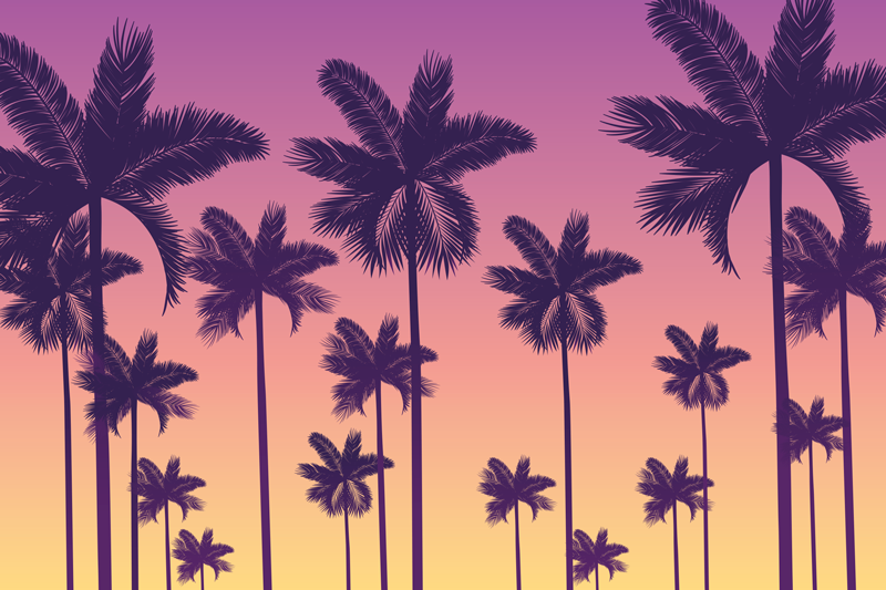 Original placemats palm tree sunset design - TenStickers