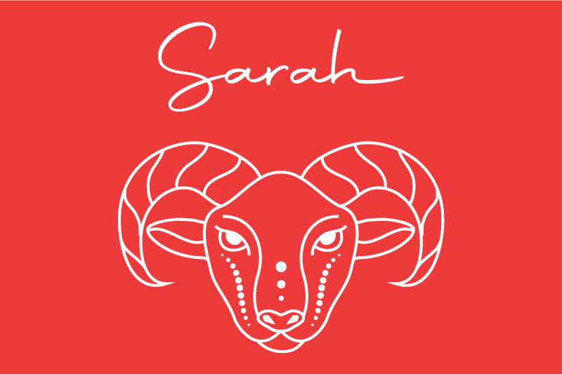 Personalizable placemats stylized ram design - TenStickers